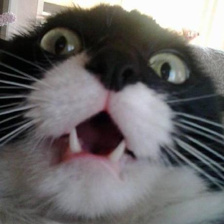 Csgarbossa Caterina Sgarbossa Github - Landscape Photo Collection - Retina Quality