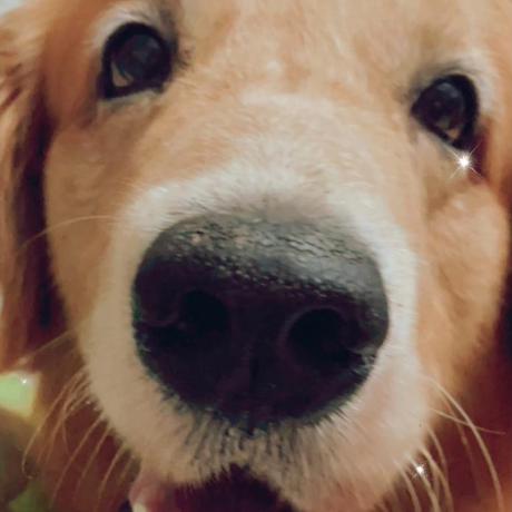 Bj Ce Github - Nature Textures - Incredible 8K Collection