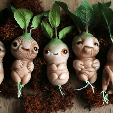 Wanderingnature Wandering Nature Github - Elegant Abstract Design - Ultra HD