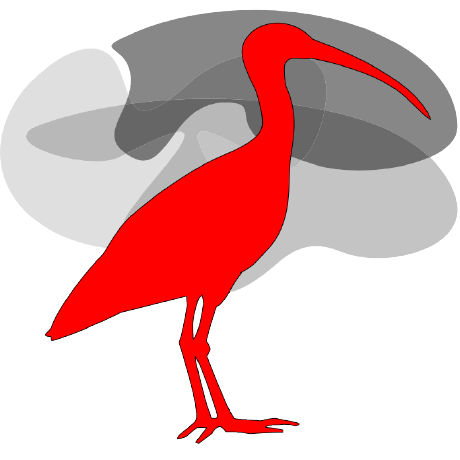 Neuronav Github - Ultra HD 8K Colorful Backgrounds | Free Download