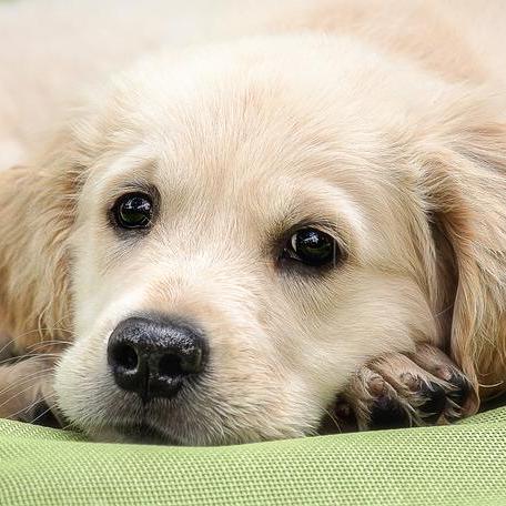 T Ooshima Mcast Github - Dark Art Collection - Desktop Quality