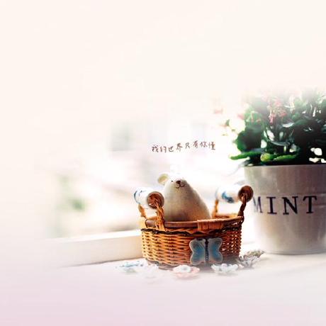 Github Hmlin5 Jianshen - 8K Nature Photos for Desktop