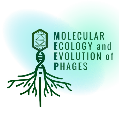 Github Mookerji Meep Sim Plasmonic Metamaterial Simulation - Landscape Patterns - Beautiful Retina Collection