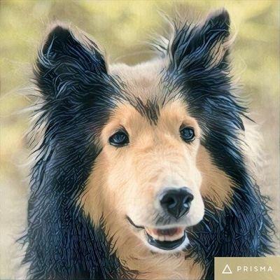 Github Dck Hub Dck Hub - Premium Mountain Pattern Gallery - Retina