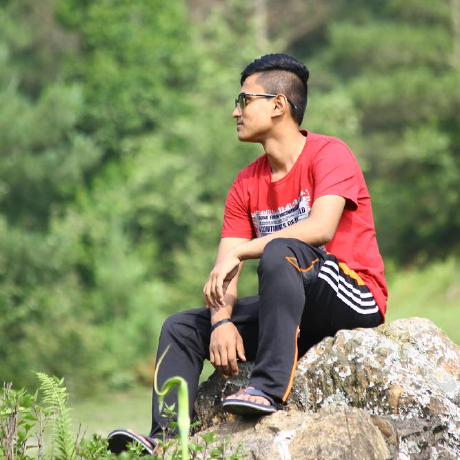 Praxais Prajwal Maharjan Github - Premium Light Illustration Gallery - 4K