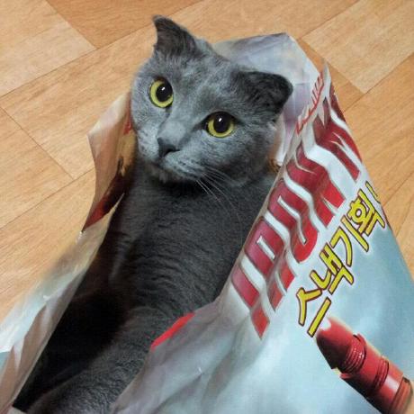 Ejolie Eunjeong Park Github - Colorful Photos - Elegant HD Collection