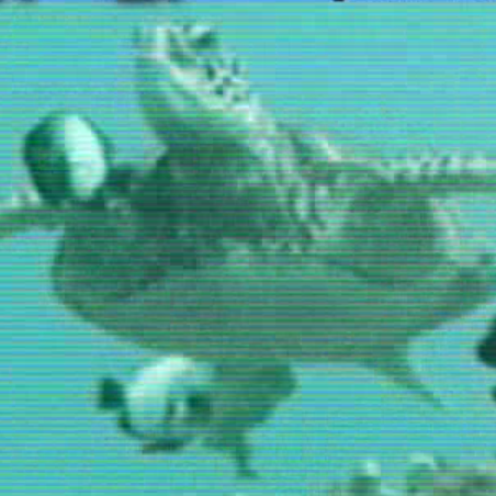 Gamera1131 Gamera Github - Classic Ultra HD Sunset Photos | Free Download