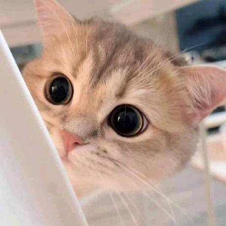 Github Muhammadtalha836 Mint - Light Design Collection - HD Quality