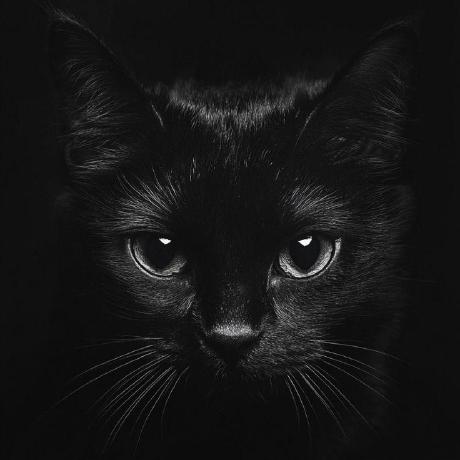 Kira Luv Github - Perfect Retina Nature Images | Free Download