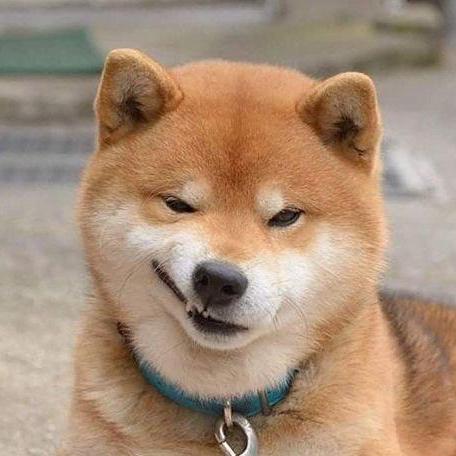 Virace Cdn Github - Amazing Desktop Nature Textures | Free Download