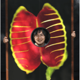 Pm4u Kenji Sekiguchi Github - Premium City Texture Gallery - 4K