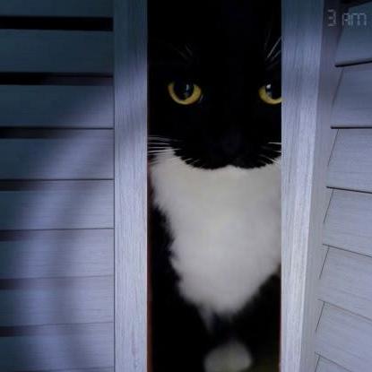 Github Tardionis Dnd Helper - Premium 8K Colorful Wallpapers | Free Download