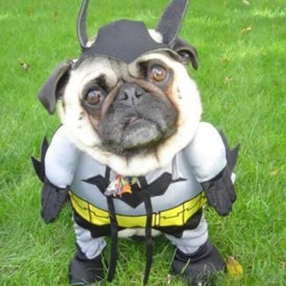 Releases Jrbudda Kerbalengineer Github - Gradient Illustration Collection - Ultra HD Quality