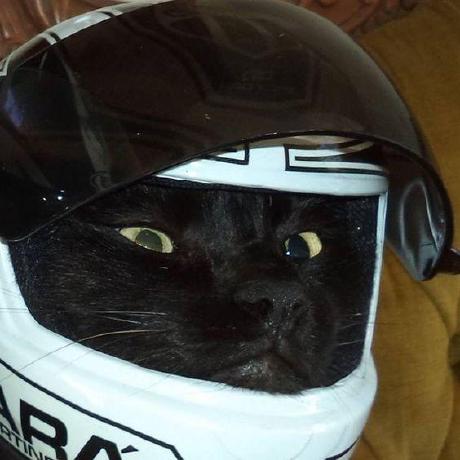 F1zhi Fiz Github - HD Landscape Images for Desktop