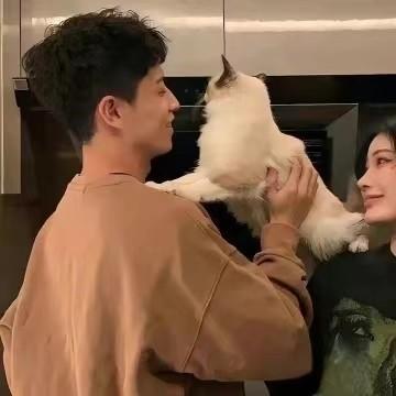 Bth Storaspel Dxr Github - Modern Ultra HD Mountain Backgrounds | Free Download