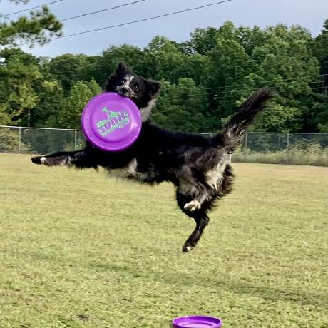 Phobo99 Luu Dang Pho Github - Download Classic Space Illustration | Desktop