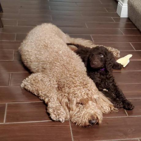 Literaliymatt Matt Github - Download Beautiful Dark Image | Mobile