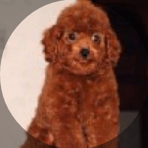 Github Kaka3511 Pycharm Code Pycharm - Creative Ocean Art - HD