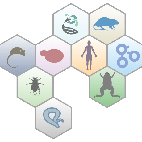 Genomics Education Alliance Github - Download Creative Space Texture | Retina