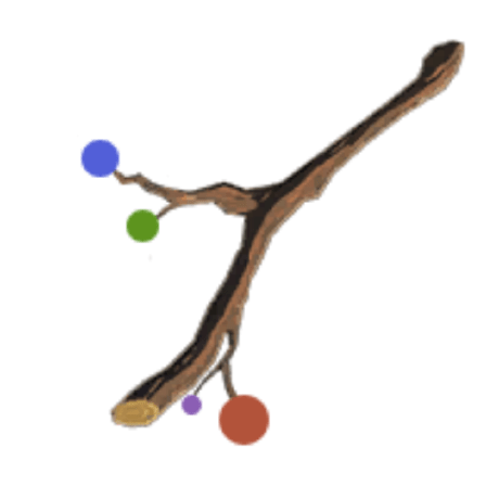 Optimalbranching Github