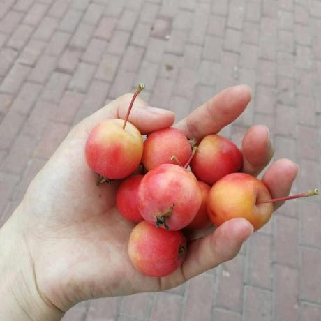 Releases Tencent Tencentpretrain Github - City Wallpaper Collection - Ultra HD Quality