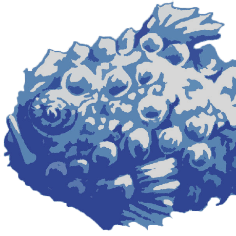 Sound Effects Dataset Github Topics Github - Download Beautiful Gradient Art | High Resolution