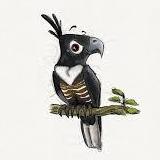 Github Milaaancode Baza Student - 8K Landscape Photos for Desktop