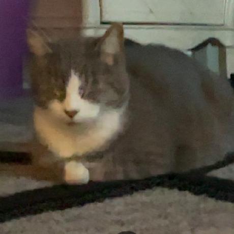 Github Bailey 24 Geometrycourse Reconstruction - Best Gradient Pictures in High Resolution