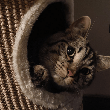 Github Gleamingray957 Steammodded - High Quality Retina Ocean Wallpapers | Free Download