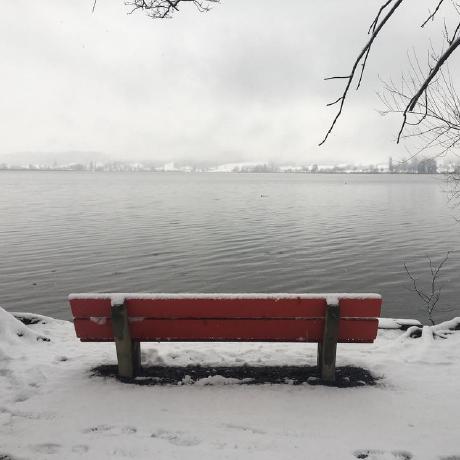 Samujbo Samu Github - Premium Nature Pattern Gallery - Retina