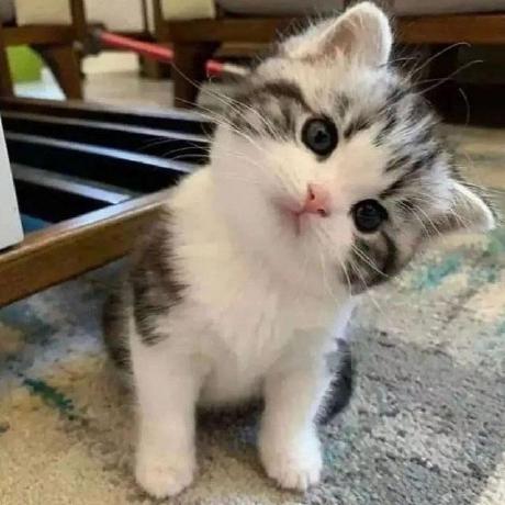 Github Jeffrey Tan1 Web Jeffrey Tan Web Repository - Landscape Pictures - Creative Retina Collection