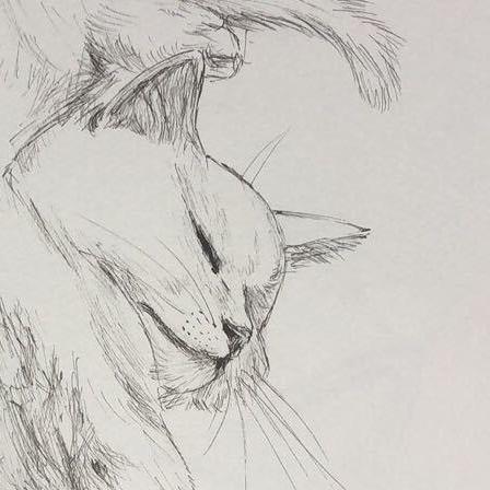 Github Tomato1107 Cycloidal Drive Animation Based On Matplotlib - Artistic Space Design - 8K