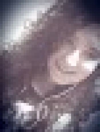 Github Thai Plugin Github Thai Interface Github Thai Translation - Gorgeous Ultra HD Light Photos | Free Download