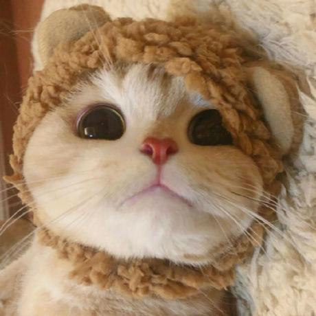 Github Myitmx Chaoxing Sign Api - Ultra HD Dark Pictures for Desktop