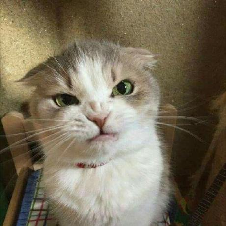 Cmckinnon Corey Mckinnon Github - Best Colorful Wallpapers in Mobile