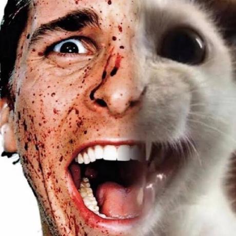 Meowhehex3 Catz Github - Incredible Desktop Light Wallpapers | Free Download