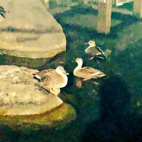 Ta Koga Github - Colorful Textures - Creative HD Collection