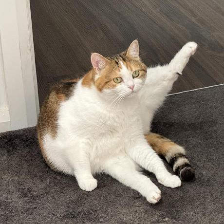 Luke Huang Github Github - High Quality City Texture - High Resolution