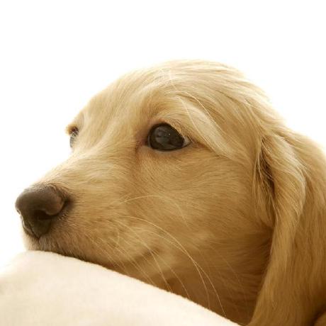 Dhb Msft Dan Brown Github - Download Incredible Light Image | HD