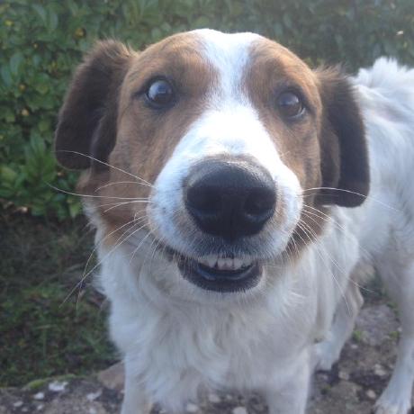 Tibo Glamarche Guillaume Lamarche Github - Best Minimal Arts in HD