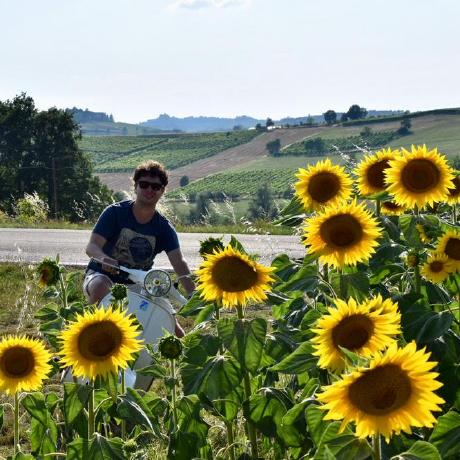 Github Maestsi Metontiime A Meta Barcoding Pipeline For Analysing - High Quality Vintage Image - Mobile