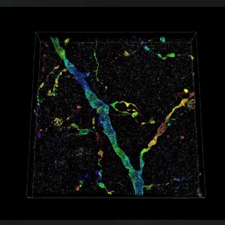 Github Libinxulab Xulab Software Software Repository For Lab Use - Amazing Nature Wallpaper - Desktop