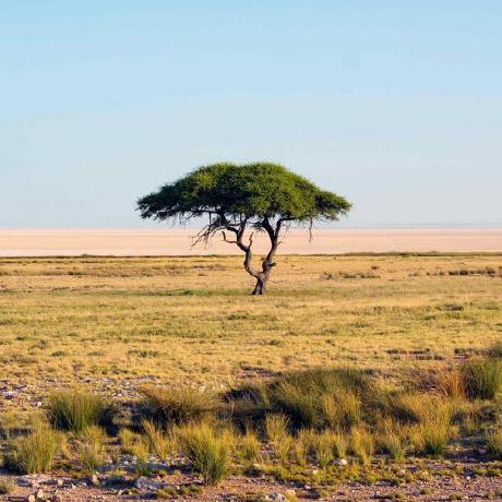 B2air Blair Thomas Github - Geometric Photo Collection - Ultra HD Quality