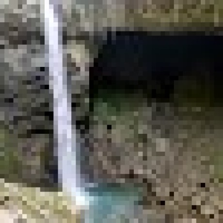 Stephbensa Merlijn Vos Github - Full HD Nature Pictures for Desktop