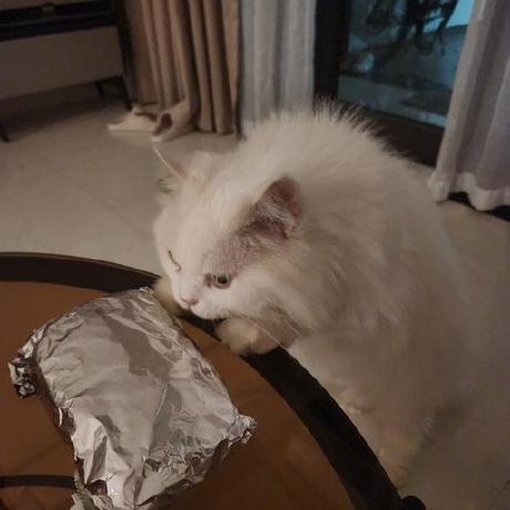 Releases Rearth Origen Github - Premium Sunset Illustration Gallery - Desktop