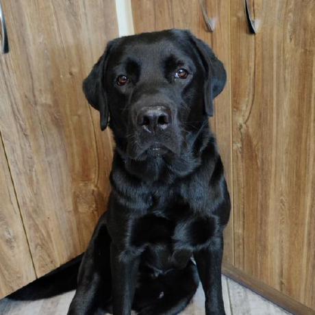 Starmarshall Volodymyr Github - Mobile Ocean Arts for Desktop