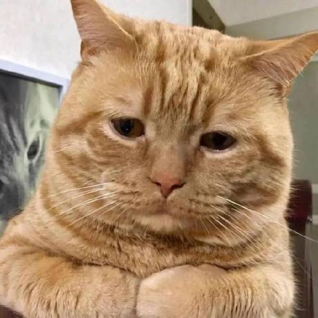 Tfx2001 Tfx2001 Github - Gradient Arts - Amazing 4K Collection