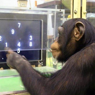 Hoshizaki Akari Github - Gradient Photo Collection - Desktop Quality