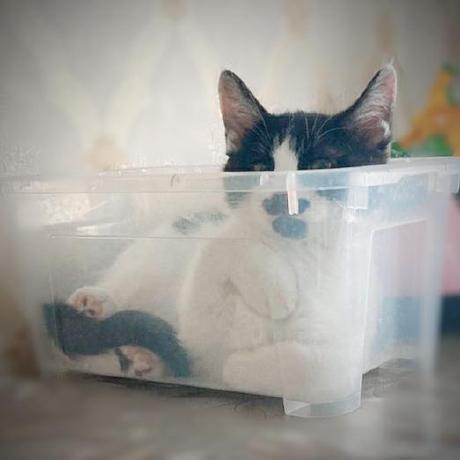 Github Jrl127 Jeff - Dark Picture Collection - HD Quality