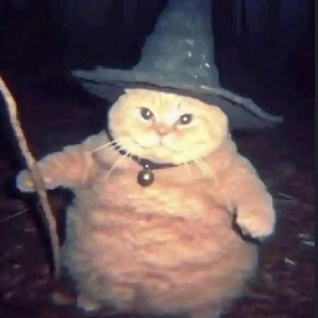 Plinho Paulo Rettamozo Github - Ocean Background Collection - Full HD Quality